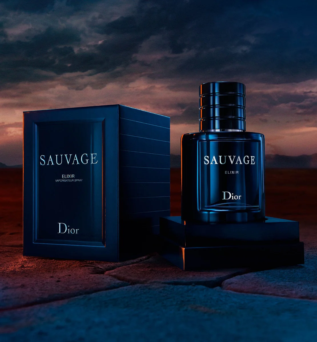 Luxessenza La Boutique Online N.1 in Italia per Profumi di Lusso Dior Sauvage Elixir 100ml 3